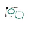 Maintenance Kit  Eberspaecher 2 kW Air 12VDC - Glow pin, Screen & Gaskets